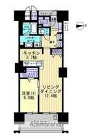 香川県高松市南新町の賃貸マンションの間取り