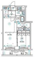 東京都中野区弥生町5丁目の賃貸マンションの間取り