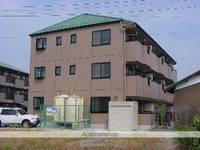 愛知県津島市寺野町の賃貸マンションの外観
