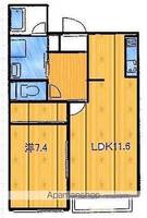 REAL BELL WOOD103の間取り