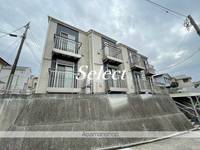 サザン・ラキシスの外観