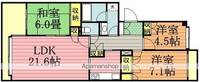 千葉県松戸市新松戸3丁目の賃貸マンションの間取り
