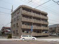 愛知県津島市柳原町4丁目の賃貸マンションの外観