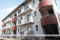 コーポ北花田の外観