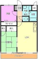 フラワーヒルズ田中A棟303の間取り