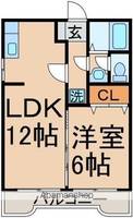 メゾンドールサシダの間取り