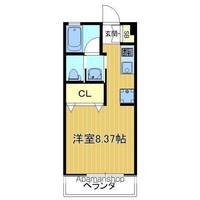 東京都葛飾区亀有2丁目の賃貸マンションの間取り