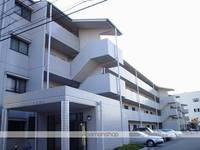 愛知県名古屋市東区大幸1丁目の賃貸マンションの外観