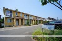 ラフィオリッタC2の外観