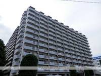 千葉県松戸市新松戸3丁目の賃貸マンションの外観