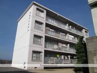 本藤マンション205の外観