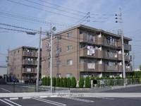 愛知県津島市愛宕町7丁目の賃貸マンションの外観
