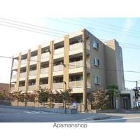 アンプルールフェールCOCOの外観
