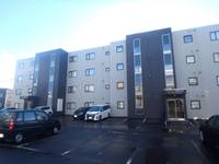 レラ・ホープ稲積公園00201の外観