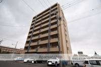 ソルティ517の外観