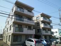 ビッグバーンズマンション八軒Ⅲ402の外観