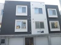 パラサントノール202の外観