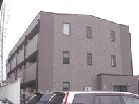 アンプルール フェール WINDの外観