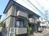 イワーナの外観