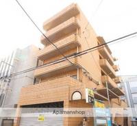 龍生堂志木ビルの外観