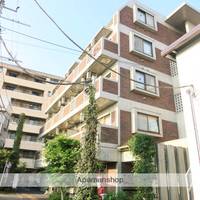 アレルヤの外観