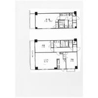 メゾン・ラフィーネの間取り