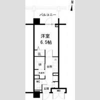 プライムアーバン錦糸公園の間取り