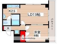 東京都江戸川区松島3丁目の賃貸マンションの間取り