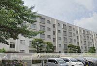 東京都調布市染地3丁目の賃貸マンションの外観