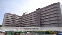 神奈川県相模原市南区鵜野森1丁目の賃貸マンションの外観