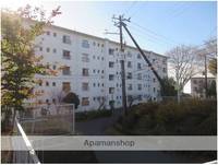 神奈川県横浜市神奈川区三ツ沢下町の賃貸マンションの外観
