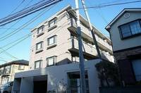 神奈川県横浜市神奈川区新子安1丁目の賃貸マンションの外観