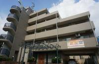 神奈川県川崎市中原区上丸子山王町1丁目の賃貸マンションの外観