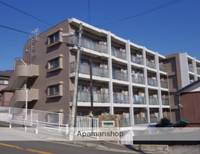 神奈川県横浜市神奈川区三ツ沢下町の賃貸マンションの外観