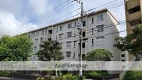 神奈川県秦野市下大槻の賃貸マンションの外観
