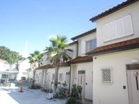 パームツリーの外観