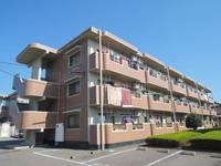 マーキュリーⅡ203の外観