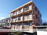 エバーグリーンB302の外観