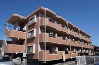 エルドラードの外観