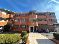 シャロンエースの外観