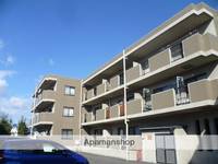 愛知県丹羽郡扶桑町大字高雄字犬堀の賃貸マンションの外観