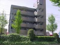 ネオサイトの外観