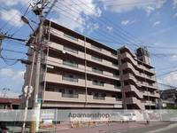 大阪府寝屋川市田井西町の賃貸マンションの外観