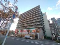 大阪府東大阪市長堂1丁目の賃貸マンションの外観