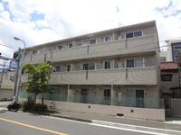 ハナミズキの外観