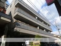 大阪府東大阪市岩田町3丁目の賃貸マンションの外観