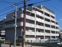 アルカザーレ国分西401の外観