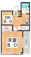 大阪府大阪市生野区巽南1丁目の賃貸マンションの間取り
