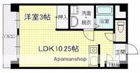 ラフィネDANの間取り