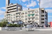 どりーむはいつ305の外観